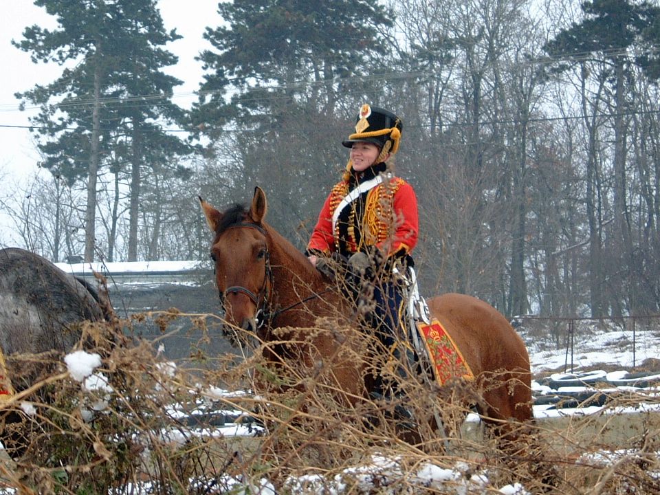 French Cavalry