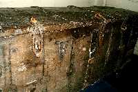 Laneham church 15th cent chest